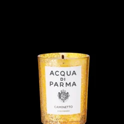 ACQUA DI PARMACollection de Noël                Bougie Parfumée Caminetto