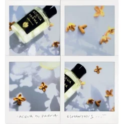 ACQUA DI PARMASignature Osmanthus                Eau de Parfum