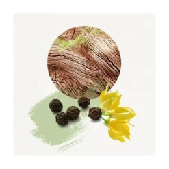 AnnayakéDojou For HIm                Eau de Toilette