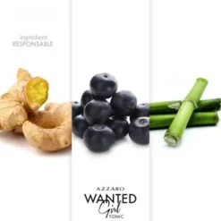 Azzaro Wanted Girl Tonic                Eau de Toilette