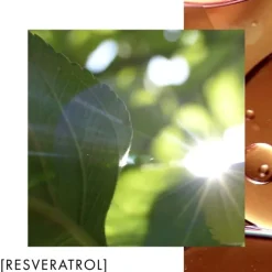 BiothermBlue Therapy                Revitalize Night Crème de Nuit Nutrition & Éclat