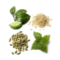 Brioni                Eau de Parfum Essentiel