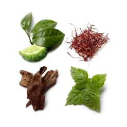 Brioni                Eau de Parfum Intense