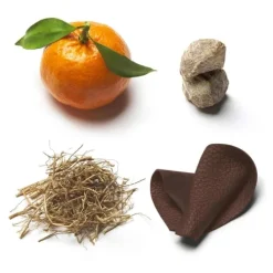 Brioni Eau de Parfum Suave