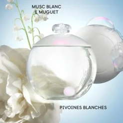 CacharelNoa                Eau de Toilette