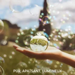 CacharelNoa                Eau de Toilette