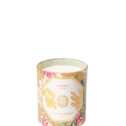 Carrière FrèresAcacia - Robinia                Bougie Parfumée