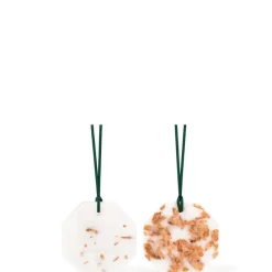 Carrière FrèresCèdre - Cedrus Atlantica                Palet Botanique