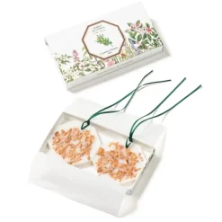 Carrière FrèresCèdre - Cedrus Atlantica                Palet Botanique