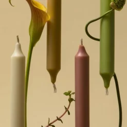 Carrière FrèresCèdre                Chandelle Parfumée