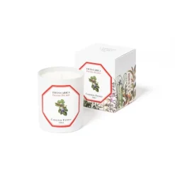 Carrière FrèresFiguier - Ficus Carica                Bougie Parfumée