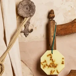 Carrière FrèresFleur d'Oranger - Citrus Dulcis                Palet Botanique