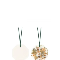 Carrière FrèresForêt d'Hiver                Palet Botanique