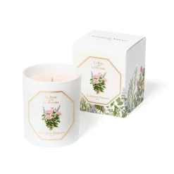 Carrière FrèresLa Rose aime la Menthe                Bougie Parfumée