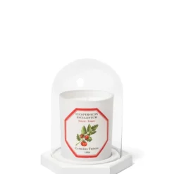 Carrière FrèresLe Dome - Socle & Cloche                Coffret Accessoires