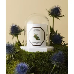 Carrière FrèresLe Dome - Socle & Cloche                Coffret Accessoires