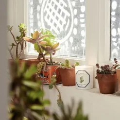 Carrière FrèresMuguet - Majalis                Bougie Parfumée