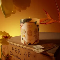 Carrière FrèresPlumeria - Frangipanier                Bougie Parfumée