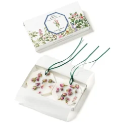 Carrière FrèresRose de Damas - Rosa Damascena                Palet Botanique