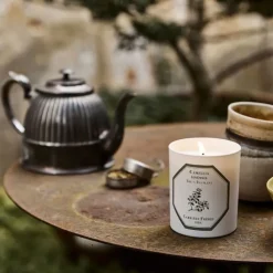 Carrière FrèresThé - Camelia Sinensis                Bougie Parfumée