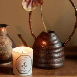 Carrière FrèresThé - Camelia Sinensis                Bougie Parfumée