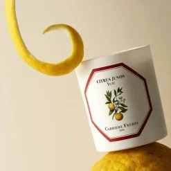 Carrière FrèresYuzu - Citrus Junos                Bougie Parfumée