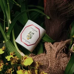 Carrière FrèresYuzu - Citrus Junos                Bougie Parfumée