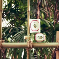 Carrière FrèresYuzu - Citrus Junos                Bougie Parfumée