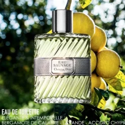 DIOREau Sauvage                Eau de Toilette