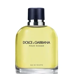 Dolce&Gabbana pour Homme                Eau de Toilette