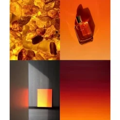 ElisireAmbre Nomade                Extrait de Parfum