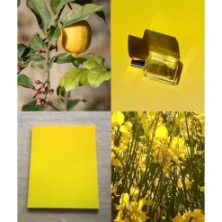 ElisireEau Papaguéna                Extrait de Parfum