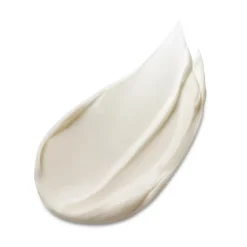 ESTEE LAUDERAdvanced Night Repair                Soin Réparateur de Nuit