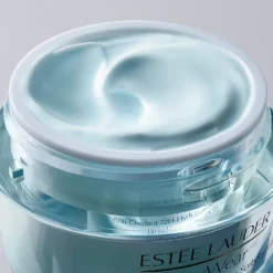 ESTEE LAUDERDayWear                Crème Hydratation 24h Multi-Protection Anti-Oxydant SPF15 Peaux Sèches