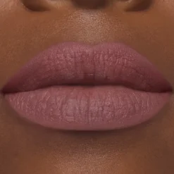 ESTEE LAUDERPure Color                Rouge à Lèvres Mat