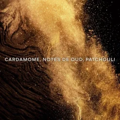 GUERLAINAbsolus Allegoria Epices Exquises                Eau de Parfum