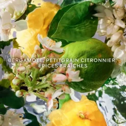 GUERLAINAqua Allegoria Bergamote Calabria                Eau de Toilette