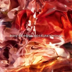 GUERLAINAqua Allegoria Forte Rosa Palissandro                 Eau de Parfum