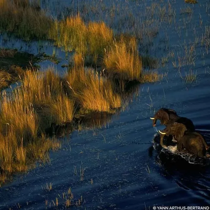 GUERLAINAqua Allegoria Forte Oud Yuzu Eau de Parfum - Flacon Recharge