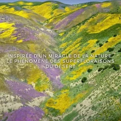 GUERLAINAqua Allegoria Forte Florabloom                Eau de Parfum - Flacon Recharge