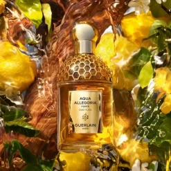 GUERLAINAqua Allegoria Forte Oud Yuzu                Eau de Parfum