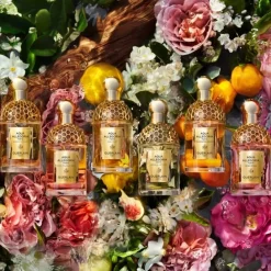 GUERLAINAqua Allegoria Forte Mandarine Basilic                Eau de Parfum