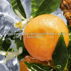 GUERLAINAqua Allegoria Pamplelune                Eau de Toilette