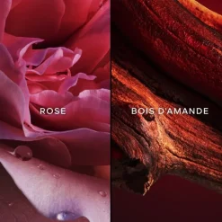 GUERLAINChamps Élysées                Eau de Parfum