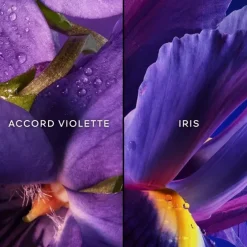 GUERLAINInsolence                Eau de toilette