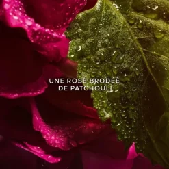 GUERLAINLa Petite Robe Noire Eau de Parfum Absolue