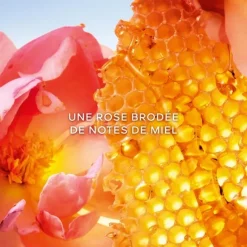 GUERLAINLa Petite Robe Noire Honey Rose                Eau de Parfum