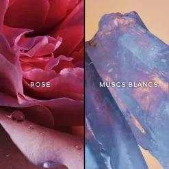 GUERLAINL'Instant Magic                Eau de Parfum