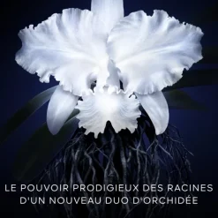 GUERLAINOrchidée Impériale                La Crème Légère