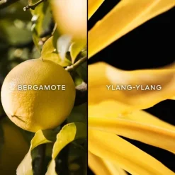 GUERLAINTerracotta                Eau de Toilette